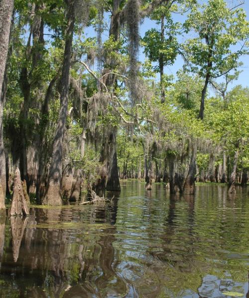 Una bonita panorámica de Clarksdale