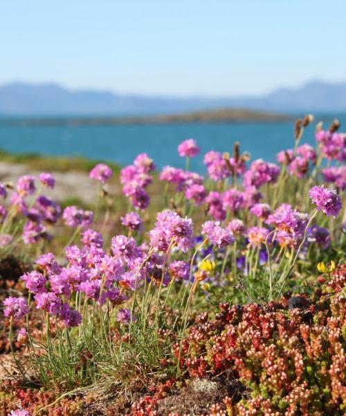 Et flott bilde av Egersund