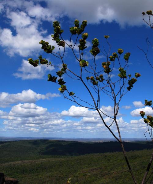 A beautiful view of Ouro Branco