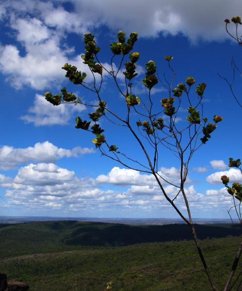 Uma bela vista de Ouro Branco