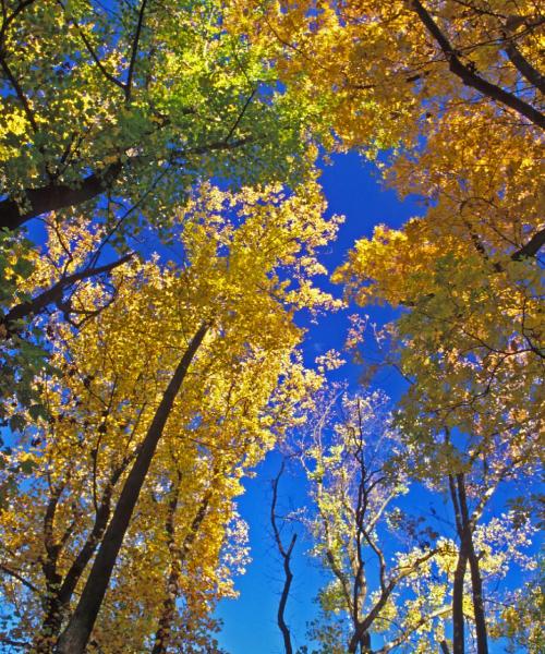 Una bonita panorámica de Piscataway