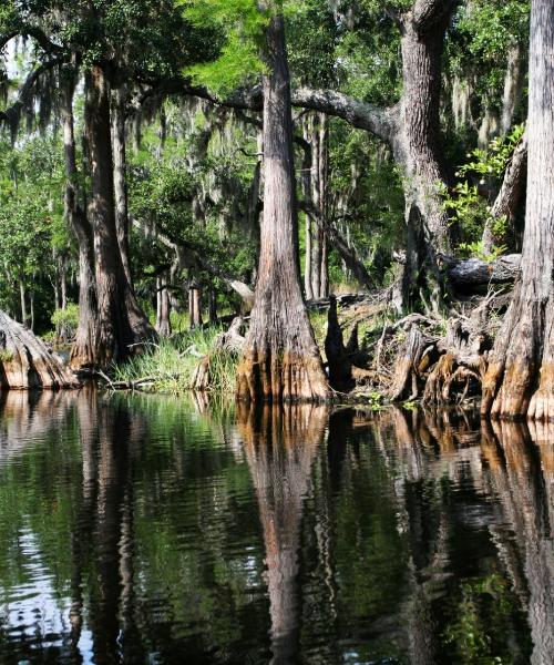 Pemandangan indah bagi Greenville