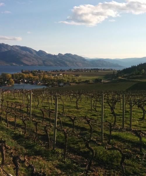 A beautiful view of West Kelowna.