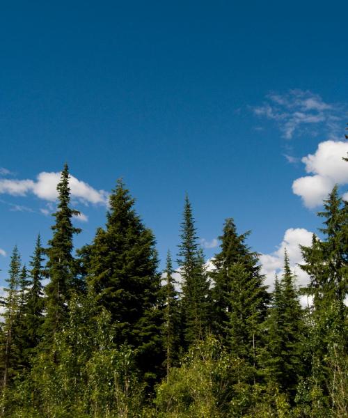 Una panoràmica bonica de Lithonia