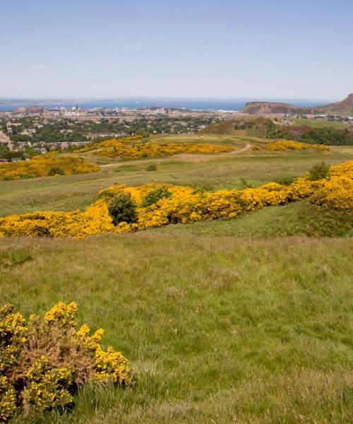 A beautiful view of Dalkeith.