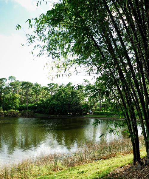 Pemandangan indah bagi Toyonaka