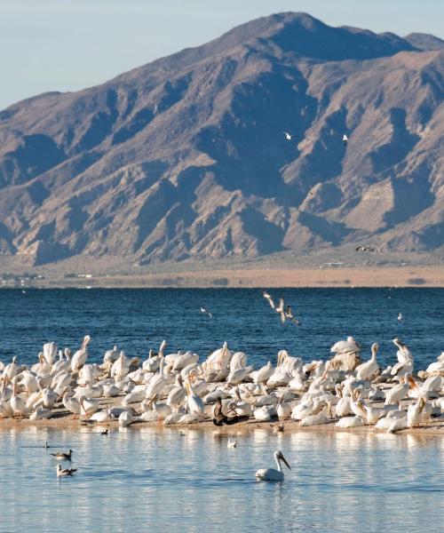 Pemandangan indah bagi Calexico