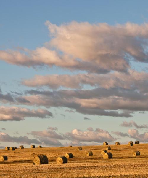 Uma linda vista de: Okotoks