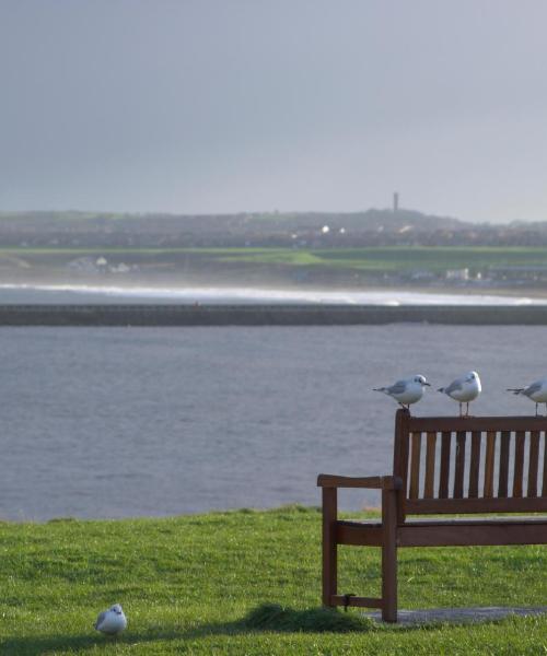 Prelep pogled na grad Tynemouth