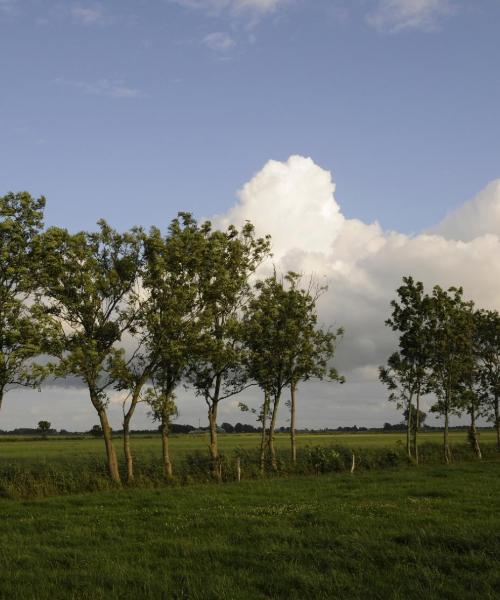 Een mooi uitzicht op Aurich