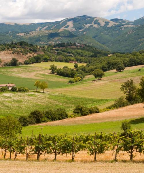 Una bonita panorámica de Monterotondo