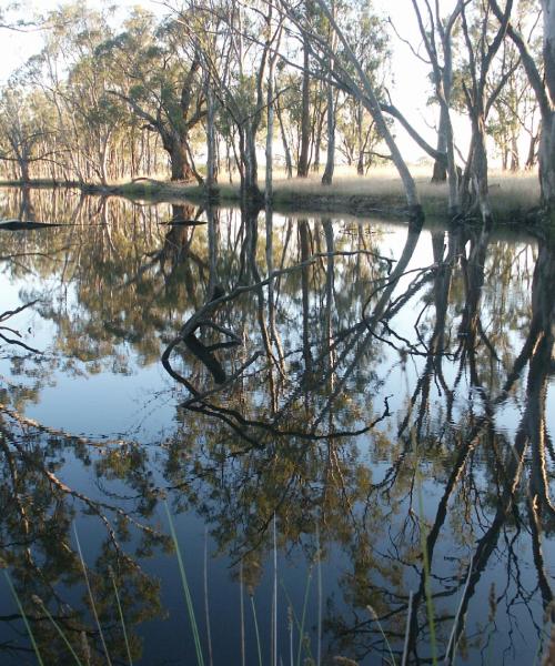 A beautiful view of Bairnsdale.