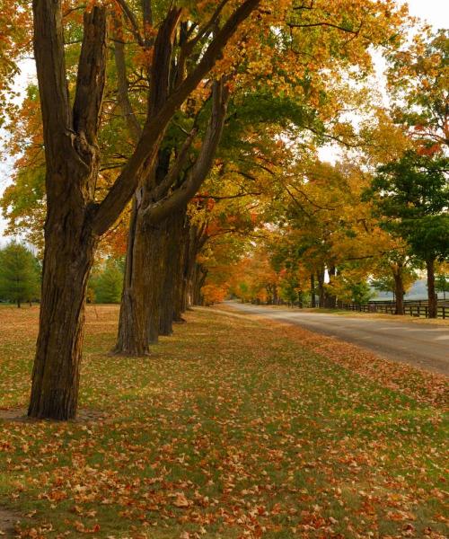 Una bonita panorámica de Brampton