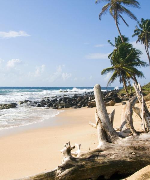 O imagine frumoasă din Isla Grande del Maíz