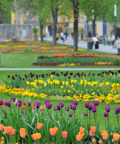 A beautiful view of Aschersleben