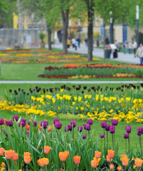 Piękny widok na miasto Aschersleben