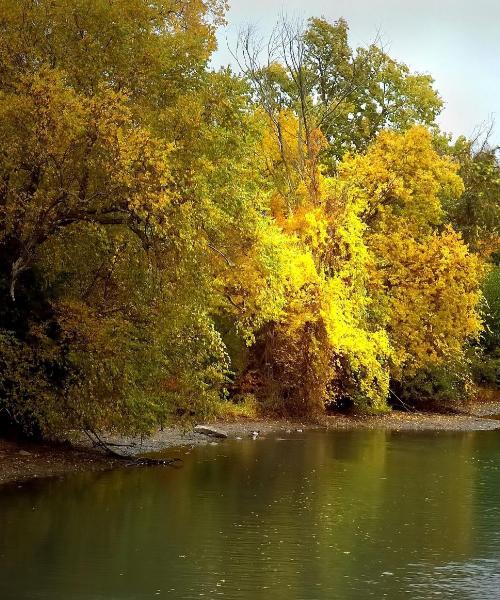 Krásný pohled na město Big Rapids