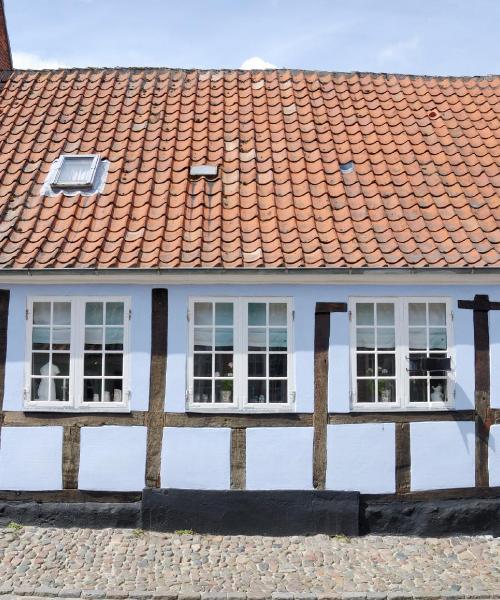 Krásný pohled na město Randers