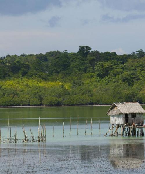 A beautiful view of Tagbilaran City – a popular city among our users