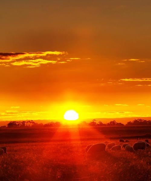 Una bonita panorámica de Shepparton