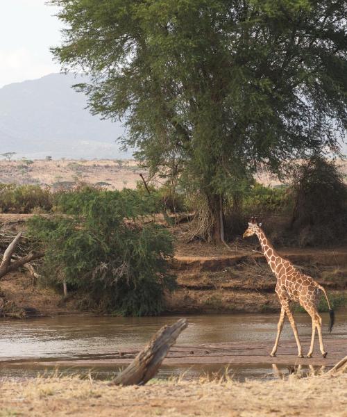 A beautiful view of Meru.