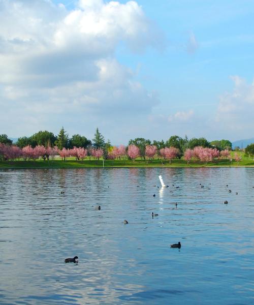 Piękny widok na miasto Van Nuys