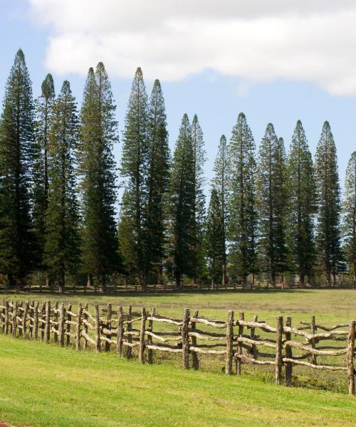 Ein schöner Blick auf Lanai City