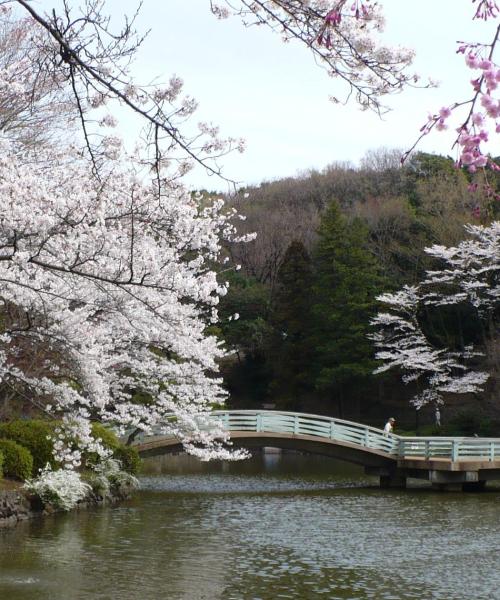 Una bonita panorámica de Machida