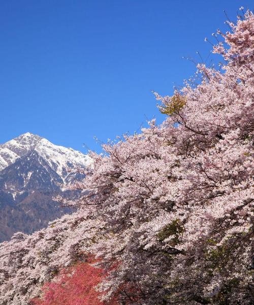 A beautiful view of Kofu