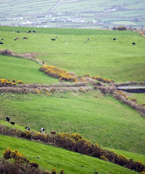 Ein schöner Blick auf Cavan