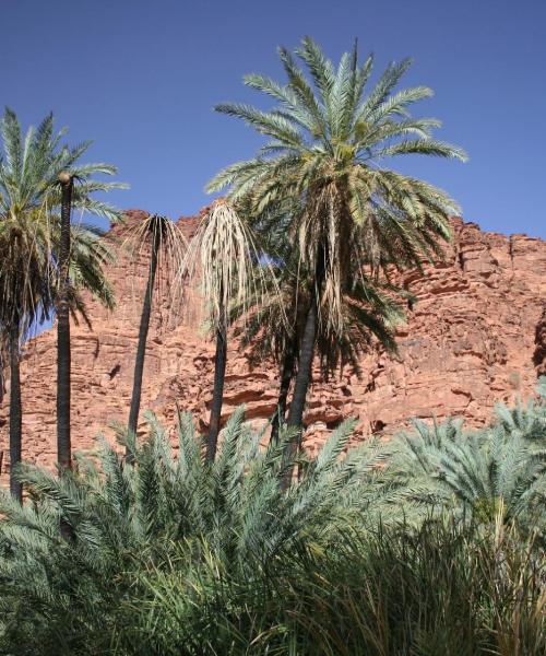 Una hermosa vista de Tabuk