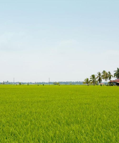 A beautiful view of Puchong.