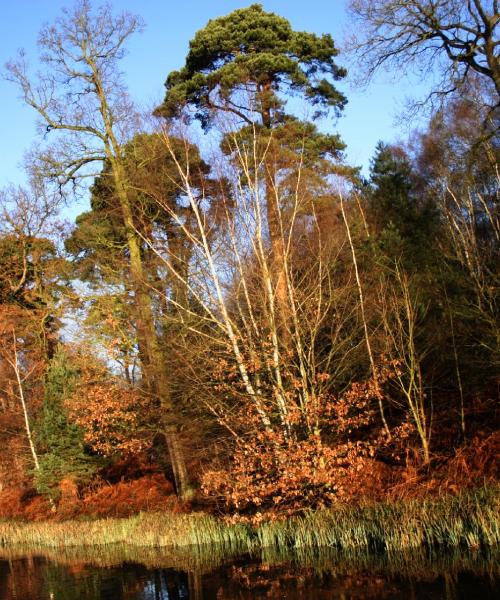 Una panoràmica bonica de Mansfield