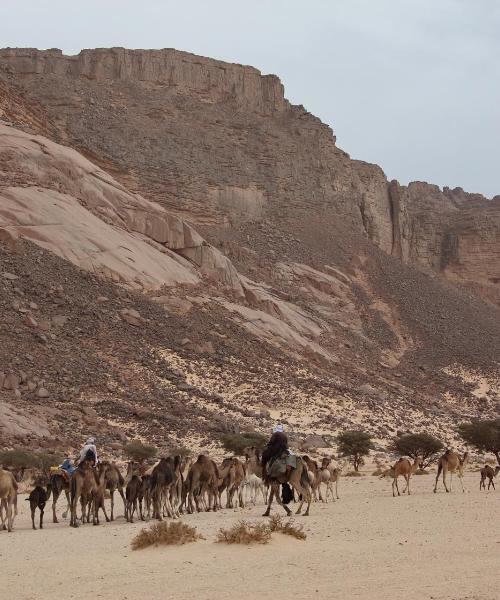 A beautiful view of Tamanrasset.