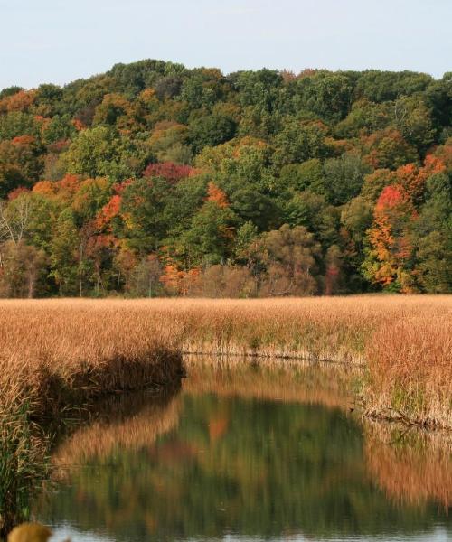 A beautiful view of Webster.