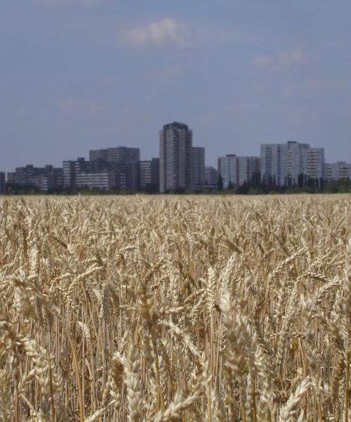 Krásný pohled na město Mason City