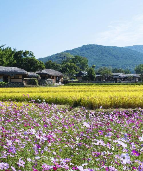 牙山市的美景