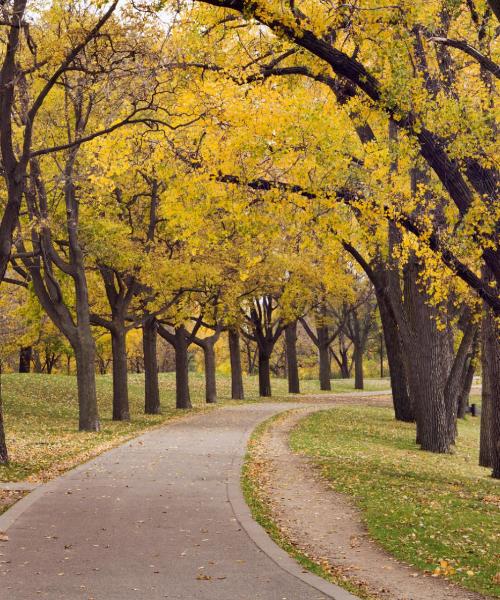 Una bellissima vista di Brooklyn Park