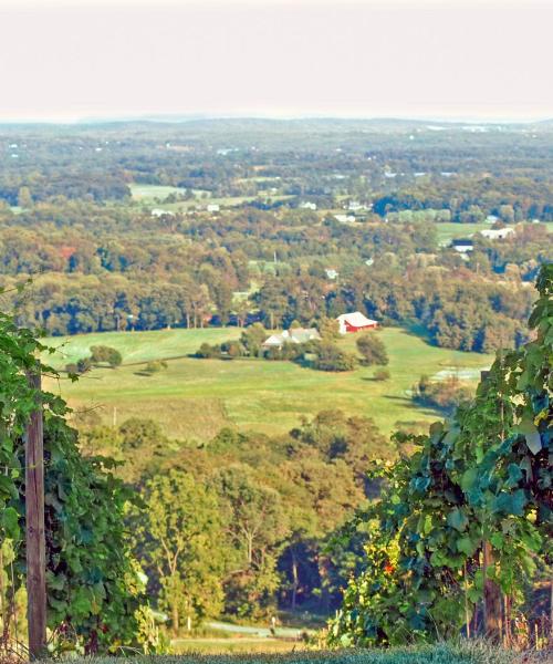 Purcellvilleの美しい景色