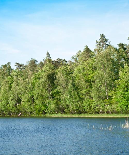 Piękny widok na miasto Ljungby