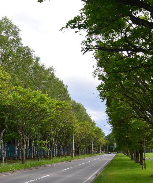 Una hermosa vista de Obihiro