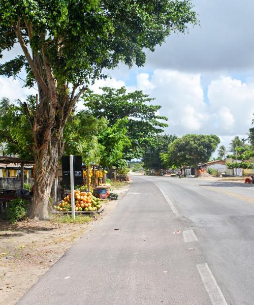 A beautiful view of Alagoinhas