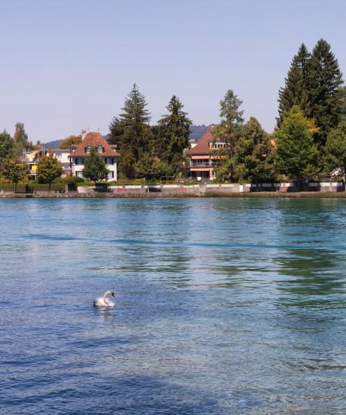 Ein schöner Blick auf Thun