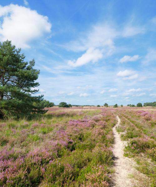 Cảnh đẹp ở Papenburg