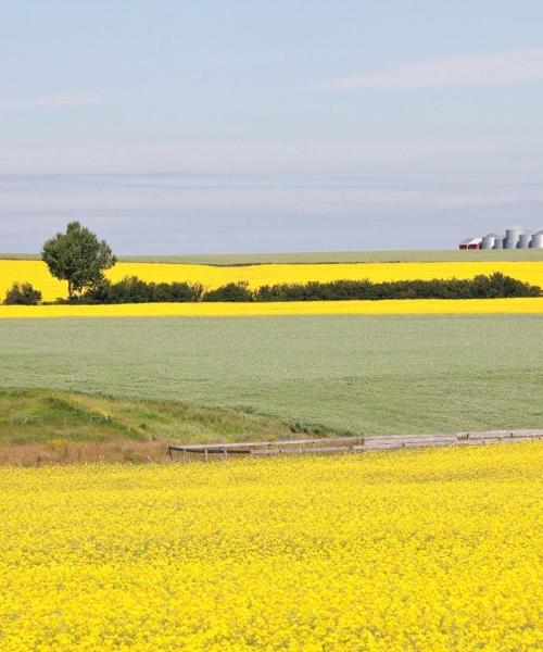 A beautiful view of Red Deer.