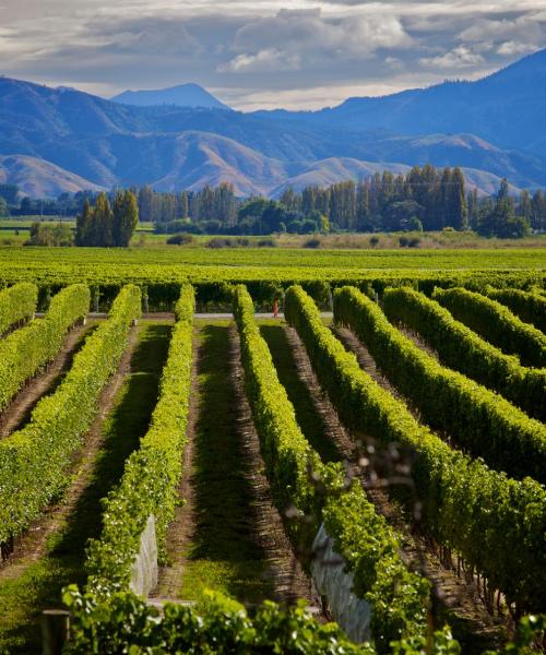 A beautiful view of Blenheim.