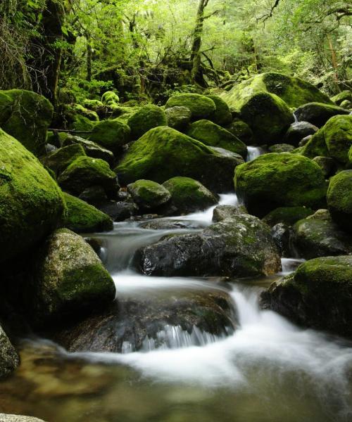 Een mooi uitzicht op Yakushima