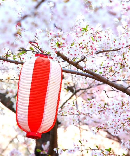 Krásný pohled na město Sagamihara
