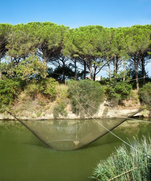 A beautiful view of Cecina.