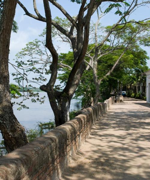 A beautiful view of Montería.